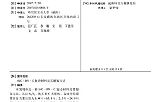 SIC-BN-C復(fù)合材料及其制備方法