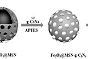 納米材料Fe<Sub>3</Sub>O<Sub>4</Sub>@MSN-g-C<Sub>3</Sub>N<Sub>4</Sub>-BTA在制備阿爾茲海默病藥物方面的應用