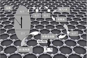 硫化鉬協同氮雜石墨烯材料及在近紅外光脫氮中的應用