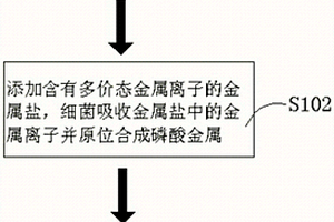 以細菌為基體制備金屬離子電池負極材料的方法及電池