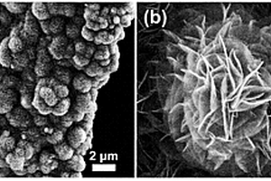 滸苔活性炭復(fù)合二氧化錳超級(jí)電容器電極材料的制備方法