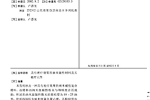 具有理療效果的納米磁性材料及其磁療元件