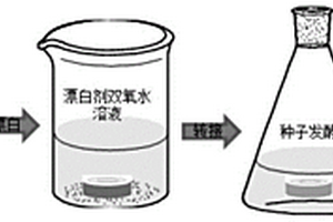 木質(zhì)纖維中原位生長細(xì)菌纖維素的方法