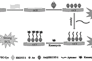 用于檢測卡那霉素的電化學(xué)發(fā)光適配體傳感器及其制備方法