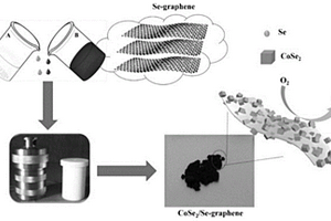 硒修飾還原氧化石墨烯載CoSe<Sub>2</Sub>、其制備方法和應(yīng)用