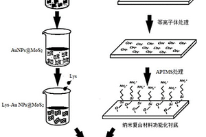 檢測多種炎癥因子的襯底及制備方法、試劑盒及應(yīng)用