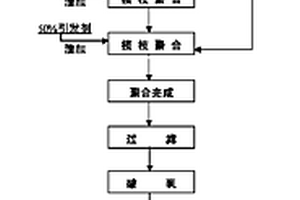 接枝納米二氧化鈦功能粒子的制備方法