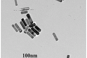 金鉑核殼型納米棒及制備方法及在制備AFB<Sub>1</Sub>電化學傳感器的應(yīng)用