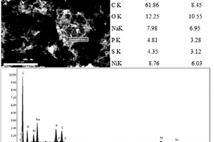 碳納米管表面化學(xué)鍍Ni?P用鍍液及方法