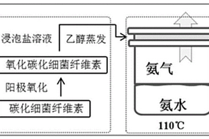 活性金屬氧化物-碳化細菌纖維素電極材料的制備方法