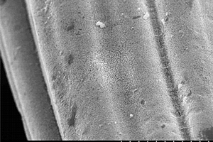 一步微波法制備粘膠基ACF與MoS<sub>2</sub>復(fù)合的超級(jí)電容器電極材料的方法