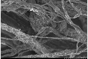 氮硫硒共摻雜SnS0.5Se0.5@CNF自支撐電極材料的制備方法