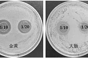 抗菌絲素蛋白材料及其制備方法