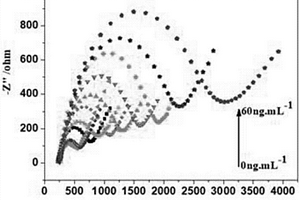 AFB<sub>1</sub>電化學免疫傳感器及其制備方法及其用于黃曲霉素B<sub>1</sub>的檢測