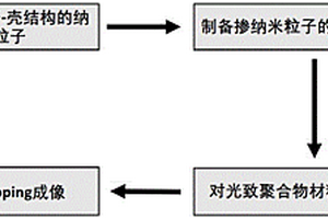 利用拉曼成像技術檢測光致聚合物中納米粒子空間分布的方法