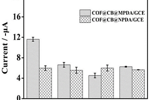 檢測(cè)環(huán)丙沙星的電化學(xué)傳感器及其檢測(cè)方法