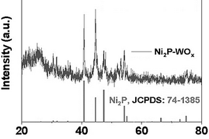 自支撐Ni2P-WOx析氫電催化劑制備方法