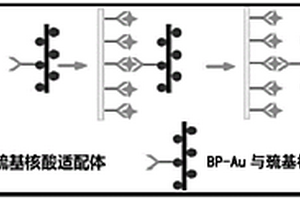 檢測Aβ<sub>1-42</sub>寡聚體的比色生物傳感器