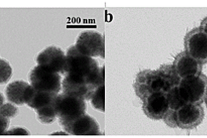 Fe<Sub>3</Sub>O<Sub>4</Sub>@PDA@MnO<Sub>2</Sub>核殼納米顆粒的制備及對(duì)重金屬離子的富集和電化學(xué)檢測(cè)