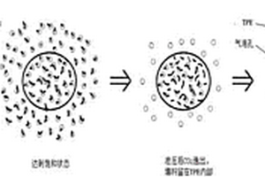 熱塑性彈性體/填料復合發(fā)泡材料的成型工藝