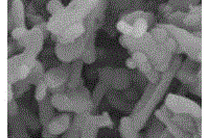 MOF衍生多孔碳盒負載Co<Sub>3</Sub>V<Sub>2</Sub>O<Sub>8</Sub>復合負極材料及其制備方法和應用