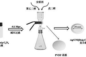 Ag/CNQDs/g-C3N4-PVDF可見光催化自清潔微濾膜的制備方法及用途