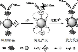 硫離子的檢測(cè)方法