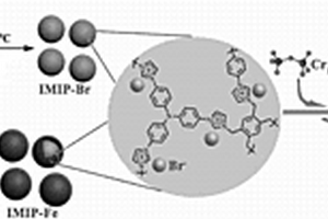 用于六價鉻陰離子檢測和分離的主鏈型咪唑鹽離子聚合物