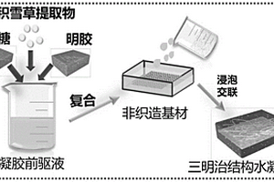 負(fù)載積雪草提取物的水凝膠/非織造材料復(fù)合敷料