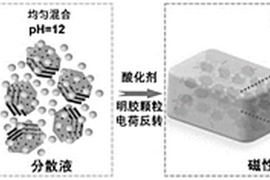 磁性可注射型顆粒水凝膠、制備方法及其應(yīng)用