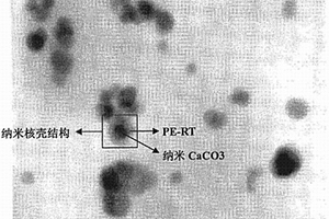 納米核殼結構及β晶協(xié)同增韌聚丙烯的方法