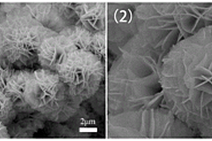 高效全解水電催化劑IPBAP/Ni<Sub>2</Sub>P@MoO<Sub>x</Sub>/NF及其制備方法