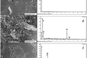 印跡SiW@PANI@Fe<sub>3</sub>O<sub>4</sub>@C的制備方法及應(yīng)用