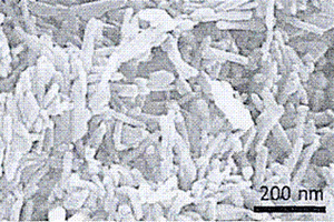 二維MoS<sub>2</sub>和TiO<sub>2</sub>納米帶異質(zhì)結(jié)構(gòu)材料的制備