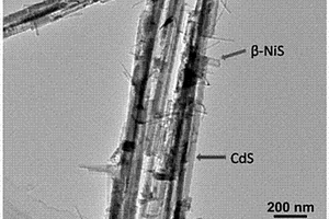 硫化鎳?硫化鎘納米線異質(zhì)結(jié)構(gòu)及其制備方法