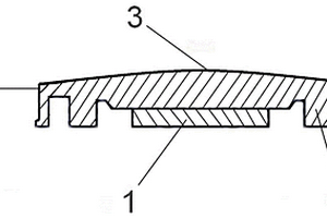 醫(yī)用球面超聲美容換能器