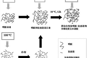 納米復(fù)合水凝膠及其制備方法和應(yīng)用