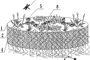 黑臭水體修復治理的生態(tài)浮島