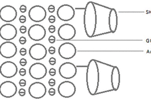 檢測(cè)多環(huán)芳烴的電化學(xué)傳感器制備方法及其應(yīng)用