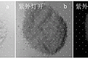 基于復(fù)合基質(zhì)中碳點(diǎn)的室溫磷光材料及其制備方法和應(yīng)用