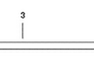 多極高血壓血管內(nèi)射頻消融治療導(dǎo)管