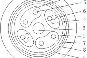 對稱式網(wǎng)絡(luò)連接電纜