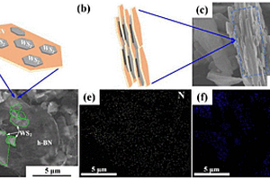 范德華異質(zhì)結(jié)WS2/h-BN及其自組裝制備方法