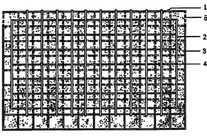 無(wú)土栽培植物盒的制作方法及應(yīng)用于植物墻構(gòu)建