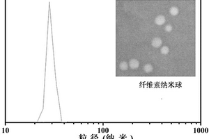 羧基化纖維素納米球的制備方法