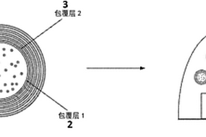 多層包覆的量子點珠