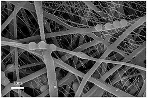 生物活性玻璃復(fù)合納米纖維膜及其制備方法