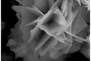 片狀g-C<sub>3</sub>N<sub>4</sub>復(fù)合花瓣?duì)頑iOBr光催化材料的制備方法