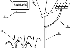 色彩傳感器在晚稻栽培三黑三黃方法中的應(yīng)用裝置