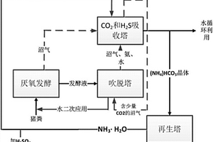 豬糞厭氧發(fā)酵后沼液氨氮回收及沼氣提純的工藝與裝置